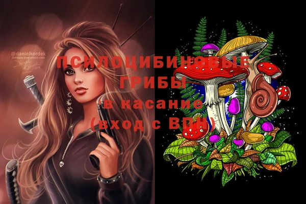 стафф Абдулино