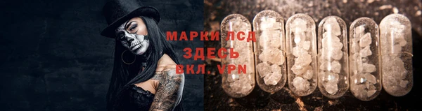 ПСИЛОЦИБИНОВЫЕ ГРИБЫ Нея