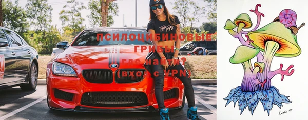 стафф Абдулино